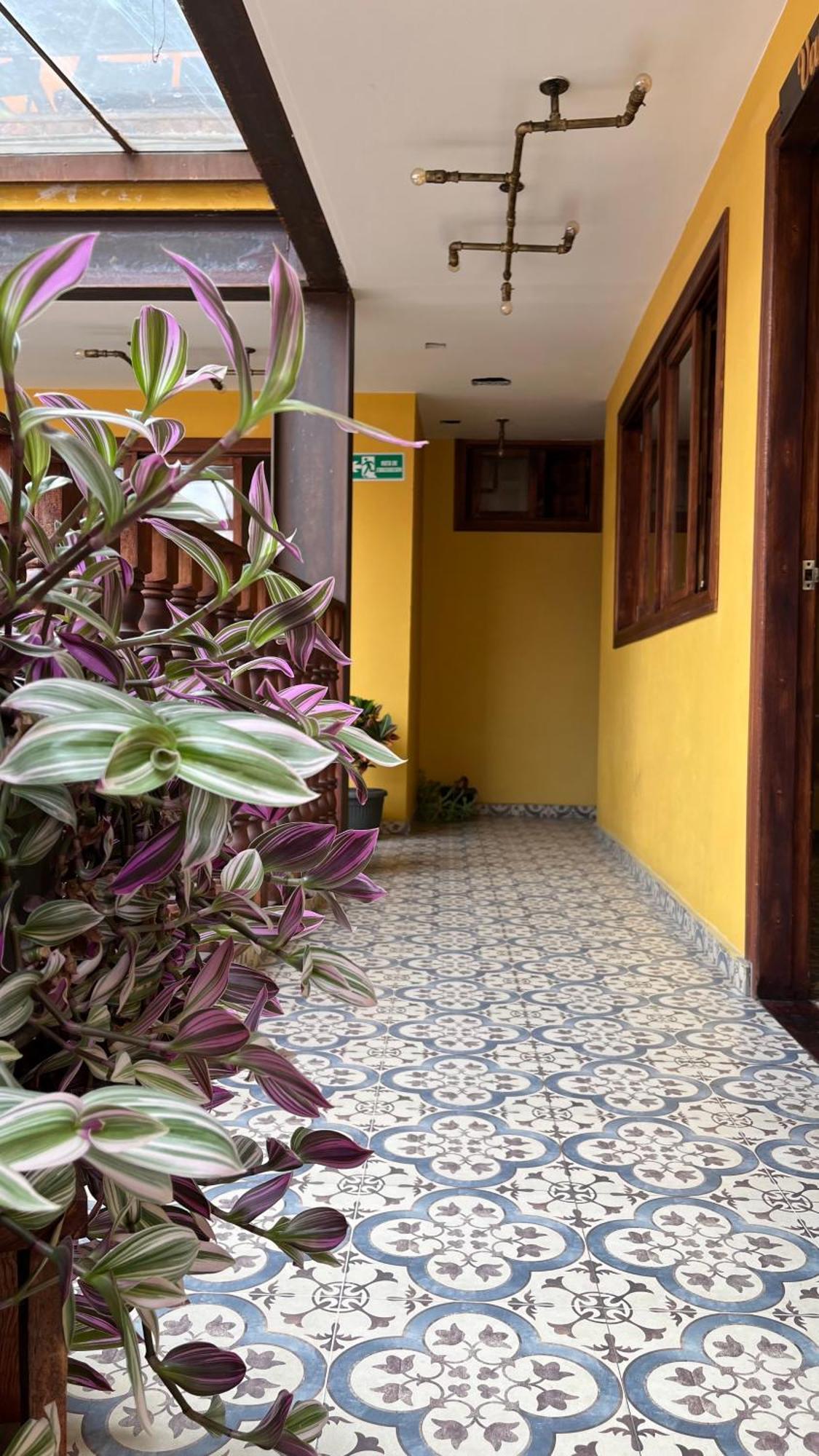 Hostal Casa Astromelia Bogotá Zewnętrze zdjęcie